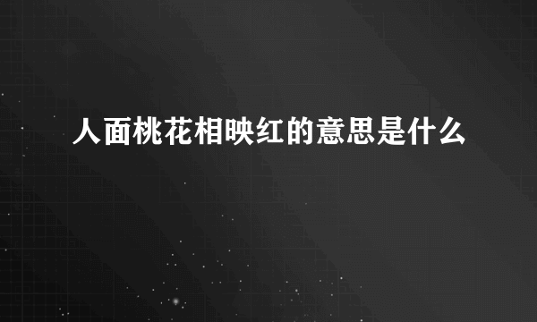 人面桃花相映红的意思是什么