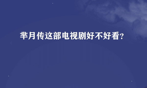 芈月传这部电视剧好不好看？