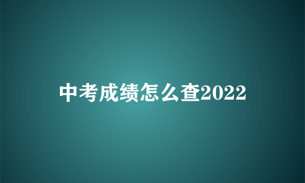 中考成绩怎么查2022