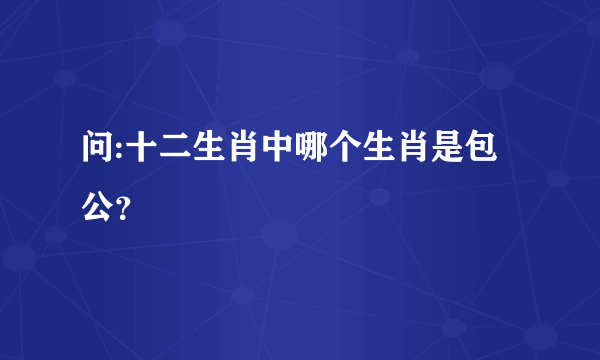 问:十二生肖中哪个生肖是包公？