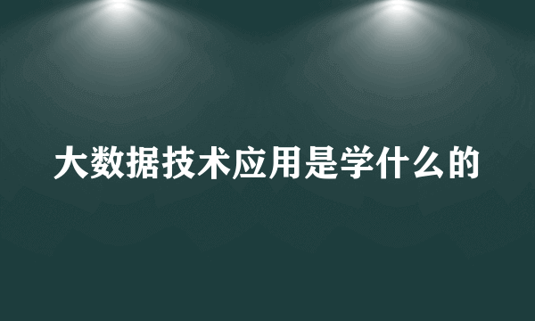 大数据技术应用是学什么的