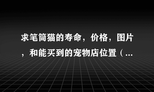 求笔筒猫的寿命，价格，图片，和能买到的宠物店位置（最好在北京海淀区） 和生活习惯，谢谢了！