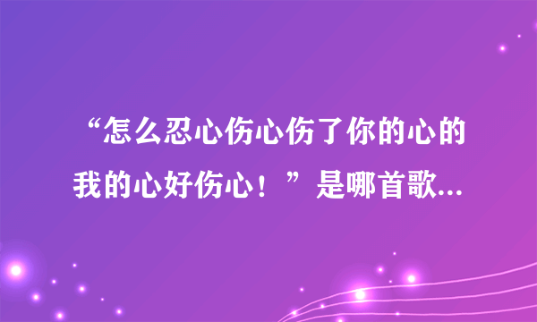 “怎么忍心伤心伤了你的心的我的心好伤心！”是哪首歌的歌词？