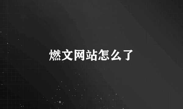 燃文网站怎么了