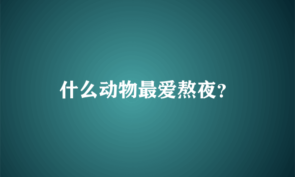 什么动物最爱熬夜？