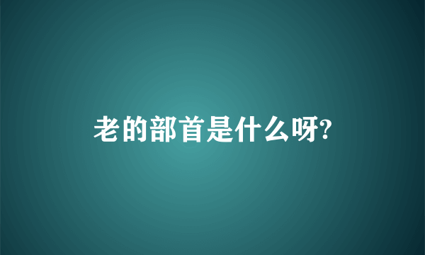 老的部首是什么呀?