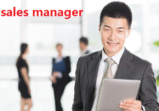 sales director和sales manager的区别