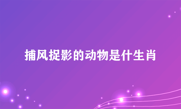 捕风捉影的动物是什生肖