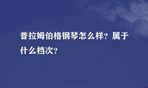 普拉姆伯格钢琴怎么样？属于什么档次？