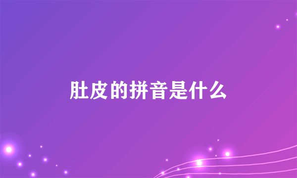 肚皮的拼音是什么