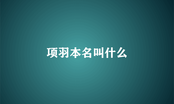 项羽本名叫什么