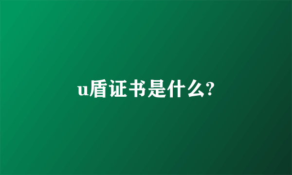 u盾证书是什么?