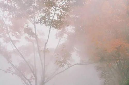 “久晴大雾必阴，久雨大雾必晴。”这句话是什么意思？