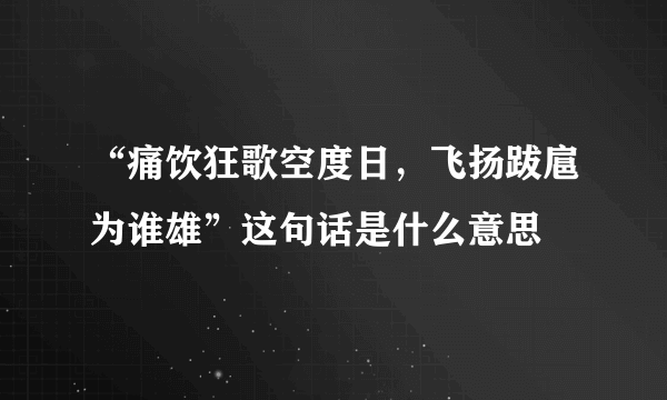 “痛饮狂歌空度日，飞扬跋扈为谁雄”这句话是什么意思