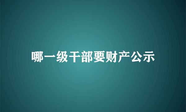 哪一级干部要财产公示