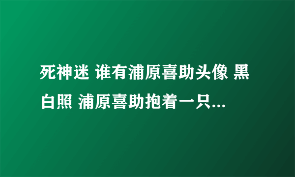 死神迷 谁有浦原喜助头像 黑白照 浦原喜助抱着一只黑猫有的请联系我 全网找 谢谢🙏