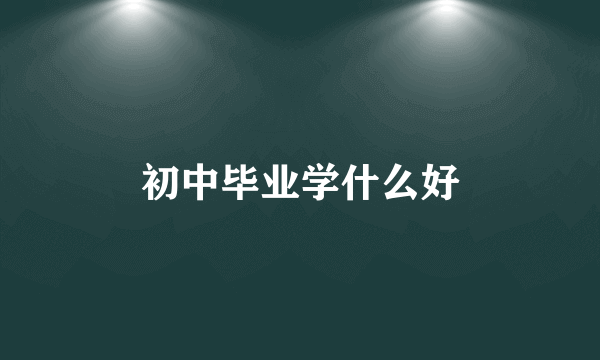 初中毕业学什么好