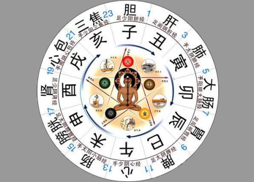 早上8点20分属于什么时辰？