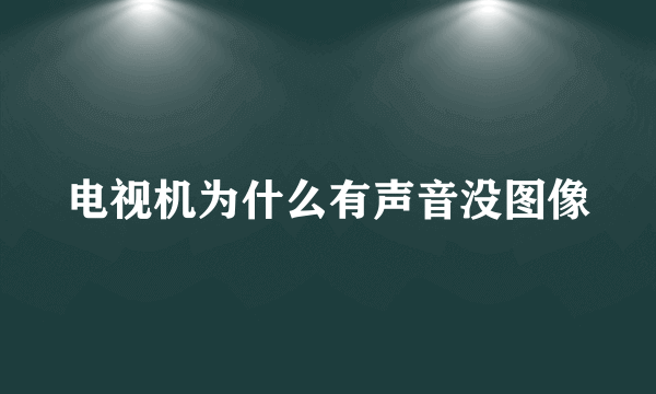 电视机为什么有声音没图像