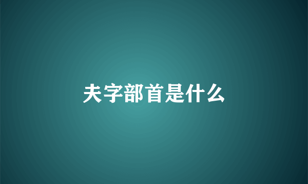 夫字部首是什么