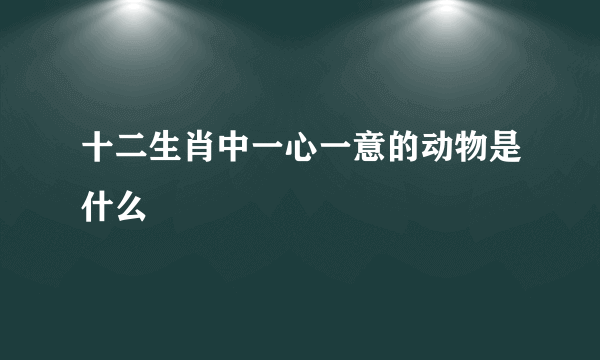 十二生肖中一心一意的动物是什么