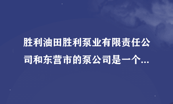 胜利油田胜利泵业有限责任公司和东营市的泵公司是一个意思吗？