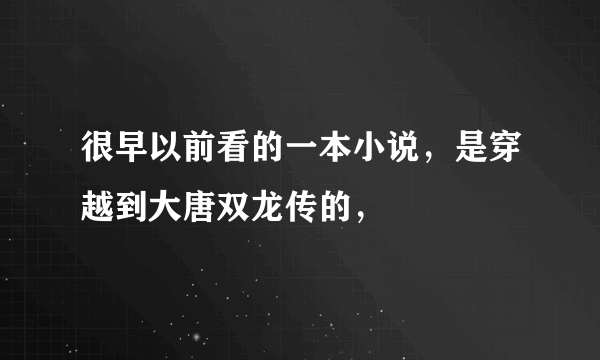 很早以前看的一本小说，是穿越到大唐双龙传的，