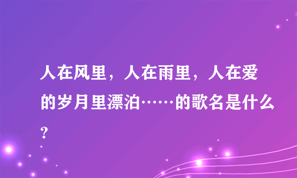 人在风里，人在雨里，人在爱的岁月里漂泊……的歌名是什么？