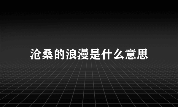 沧桑的浪漫是什么意思