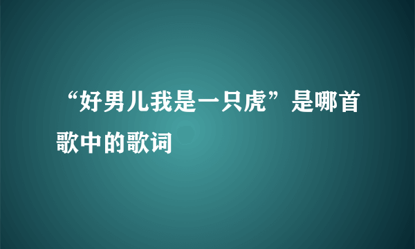 “好男儿我是一只虎”是哪首歌中的歌词