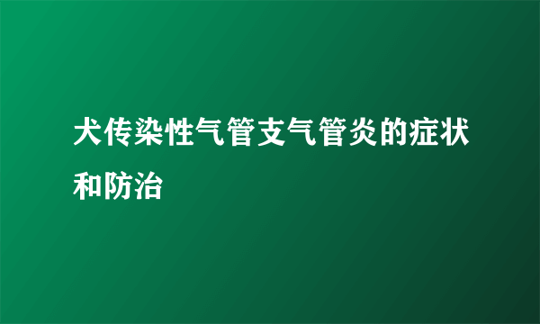 犬传染性气管支气管炎的症状和防治