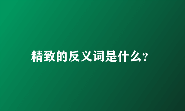 精致的反义词是什么？