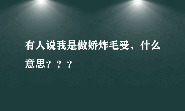 有人说我是傲娇炸毛受，什么意思？？？