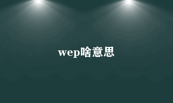 wep啥意思