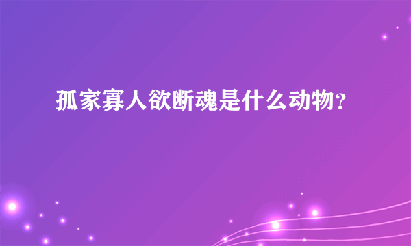 孤家寡人欲断魂是什么动物？