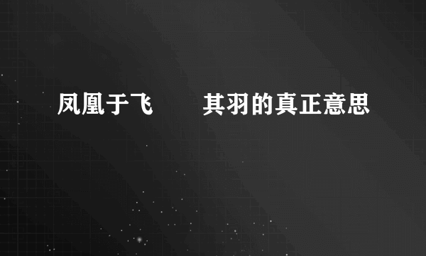 凤凰于飞翙翙其羽的真正意思