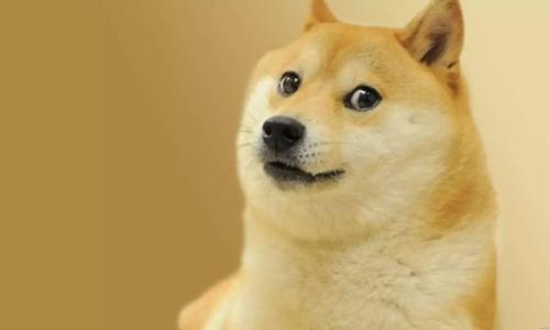 网上的用语【doge】是什么意思？