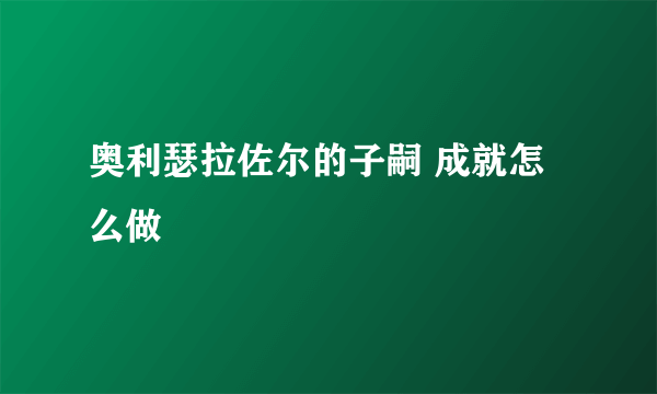 奥利瑟拉佐尔的子嗣 成就怎么做