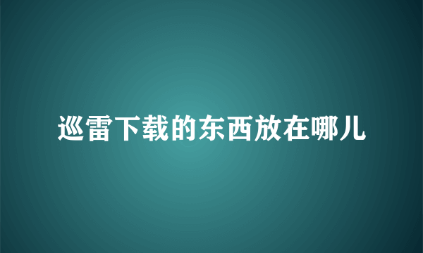 巡雷下载的东西放在哪儿