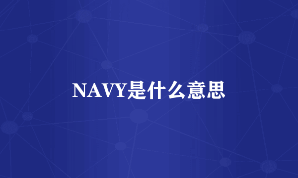 NAVY是什么意思