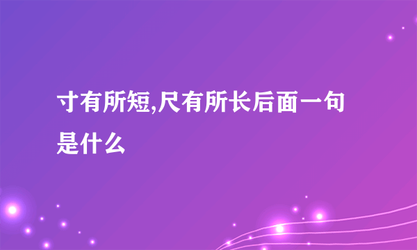 寸有所短,尺有所长后面一句是什么