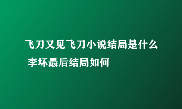 飞刀又见飞刀小说结局是什么 李坏最后结局如何