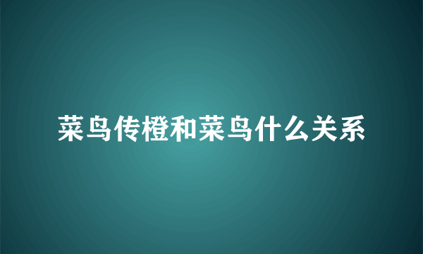 菜鸟传橙和菜鸟什么关系