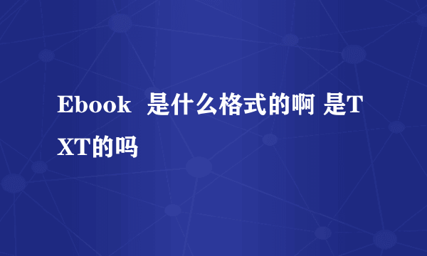 Ebook  是什么格式的啊 是TXT的吗