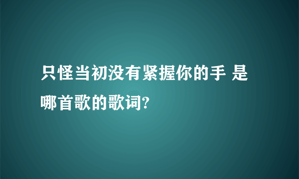 只怪当初没有紧握你的手 是哪首歌的歌词?