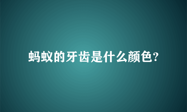 蚂蚁的牙齿是什么颜色?