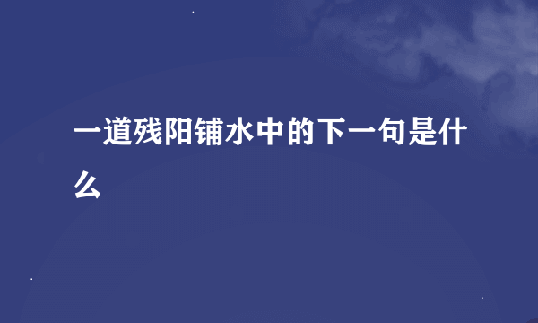 一道残阳铺水中的下一句是什么