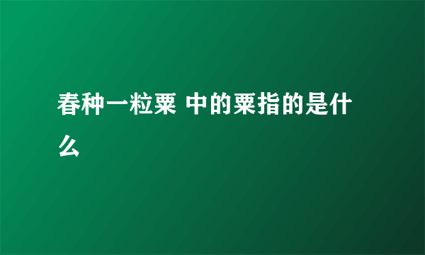 春种一粒粟 中的粟指的是什么