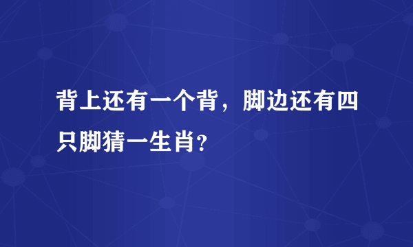 背上还有一个背，脚边还有四只脚猜一生肖？