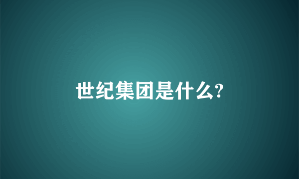 世纪集团是什么?